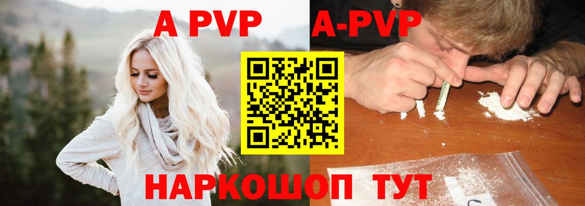 A PVP СК Соликамск