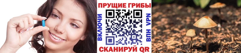 купить наркоту Соликамск Псилоцибиновые грибы Psilocybe