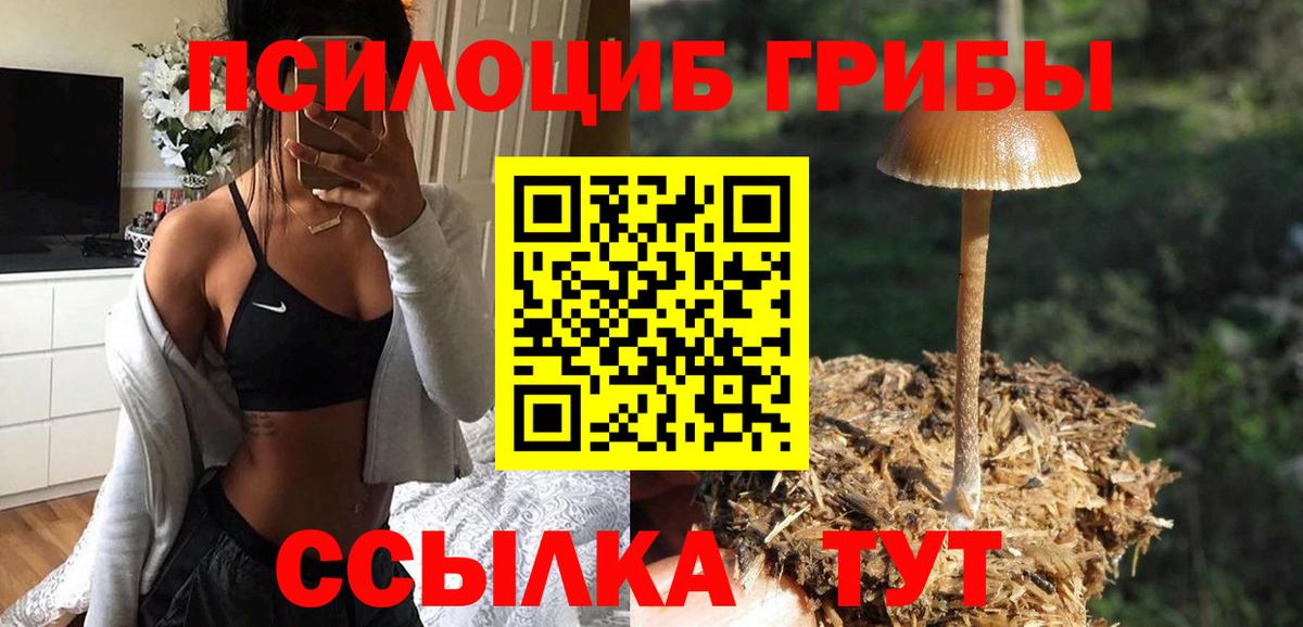 Псилоцибиновые грибы Psilocybine cubensis Соликамск