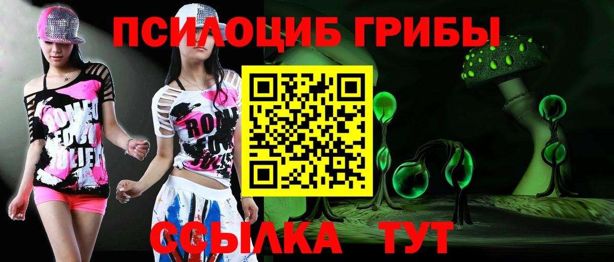 Галлюциногенные грибы MAGIC MUSHROOMS  Вход с VPN  Соликамск 